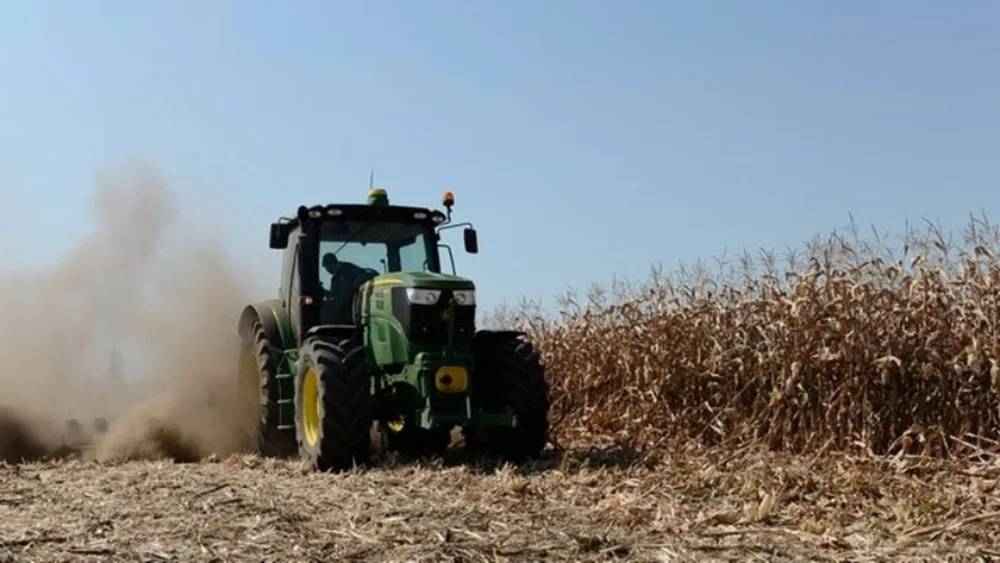 Cerealele românești, lăsate pe linie moartă, agricultorii, trimiși spre faliment